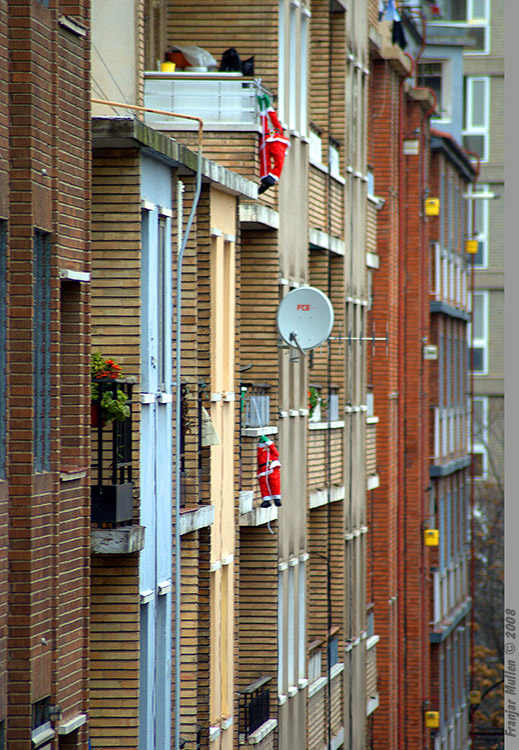 verticales2.jpg