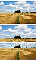 ley del horizonte.jpg